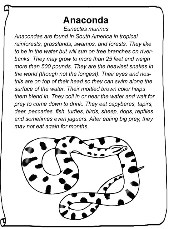 anaconda plan simple definition anaconda plan simple definition