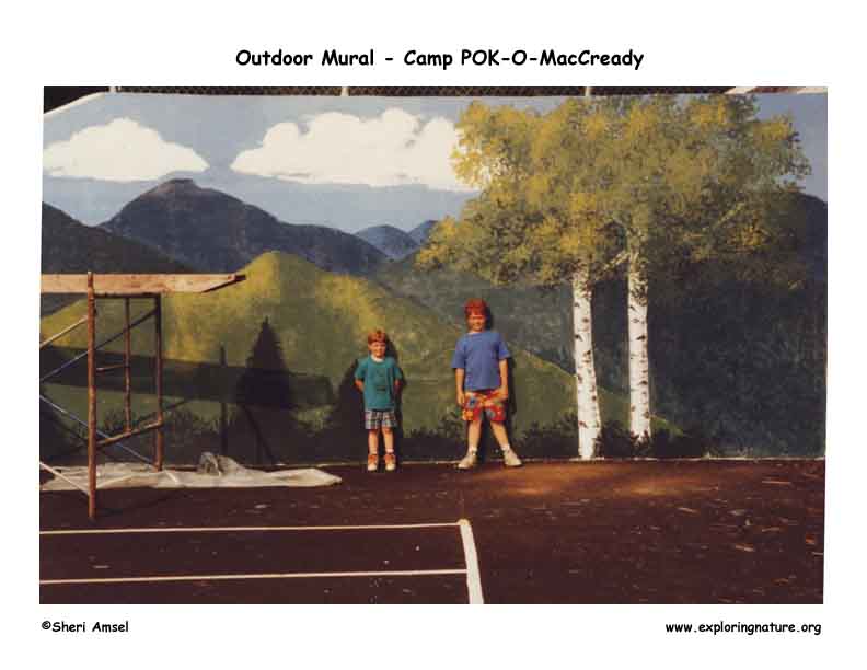 Outdoor Mural at Camp Setting