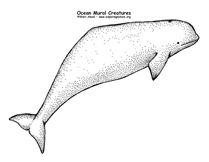 Ocean Habitat Mural
