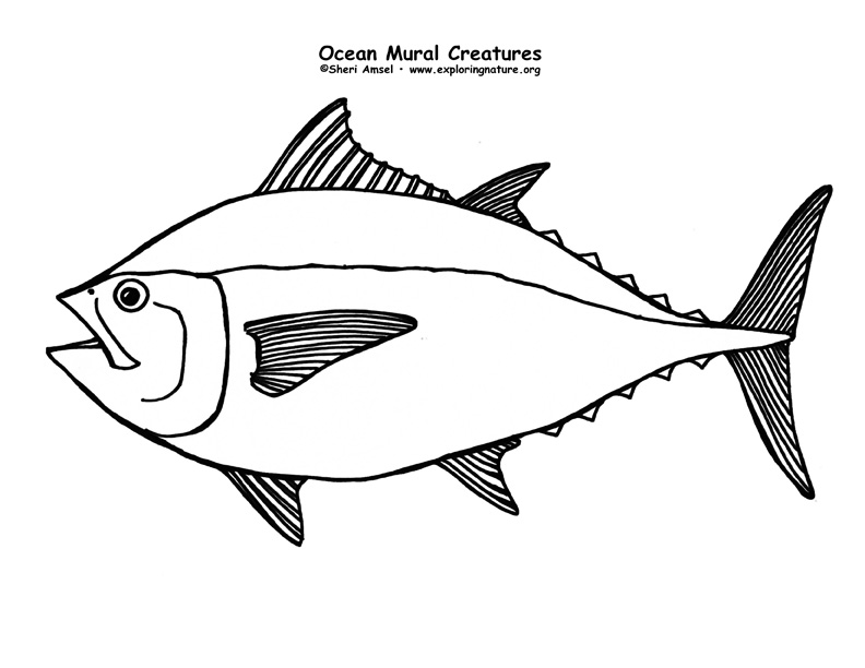Ocean Habitat Mural