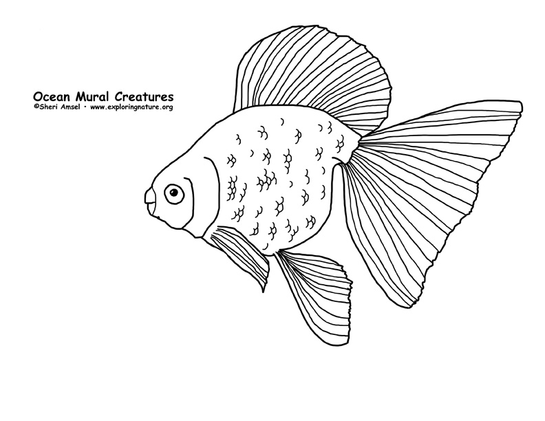 Ocean Habitat Mural