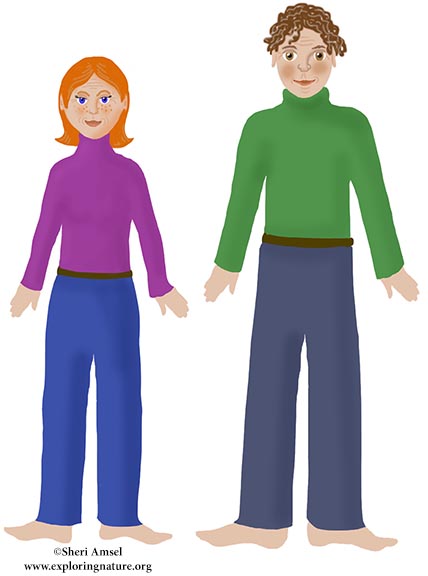 Genetics Activity - Create The Kids
