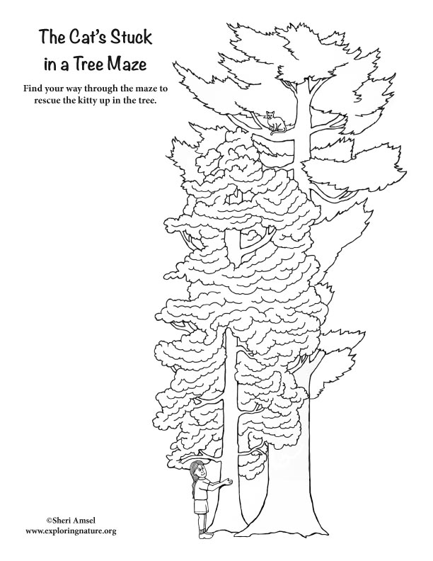 Maze – Rescue the Cat Stuck in the Tree