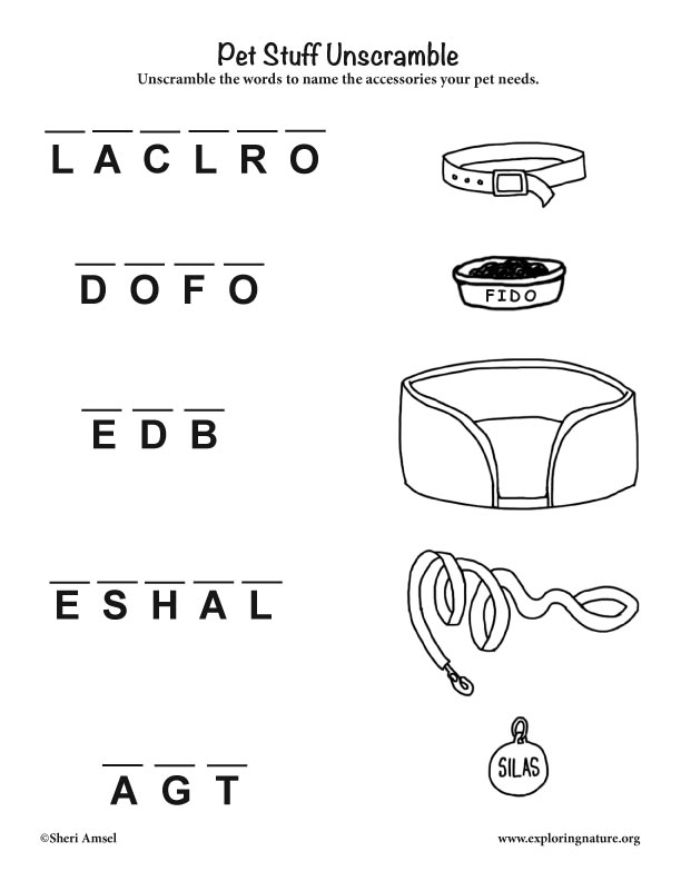 Unscramble What Pets Need