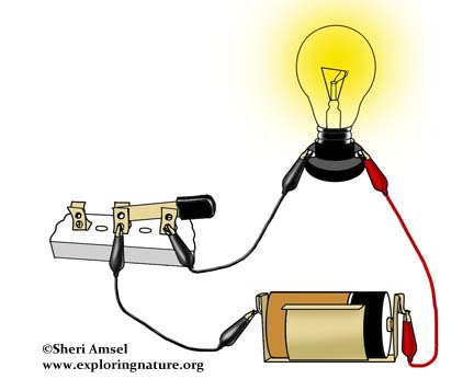 Simple Circuit Making Activity