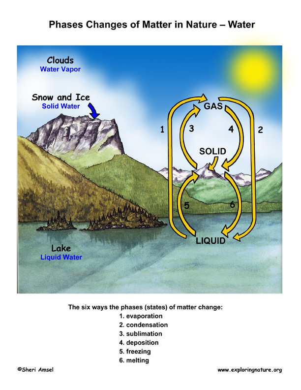Phases of Matter – Gas, Liquids, Solids