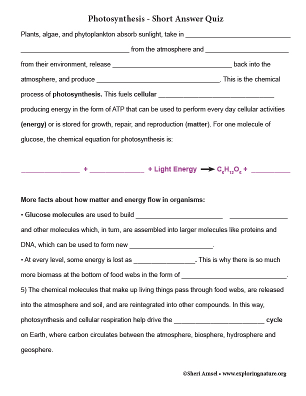 ap biology photosynthesis short answer questions