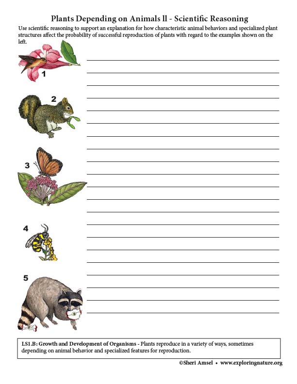 Plants Depending on Animals ll - Scientific Reasoning (NGSS 6-8 Grade)