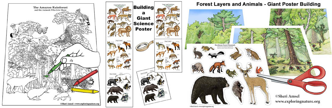 Giant Poster Making Activity