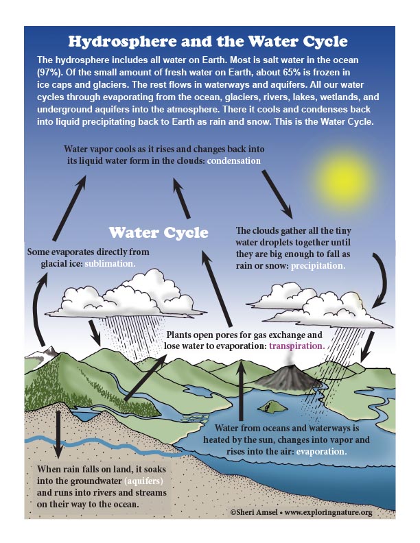 Interactive Water Cycle Diagram for Kids (Intermediate)