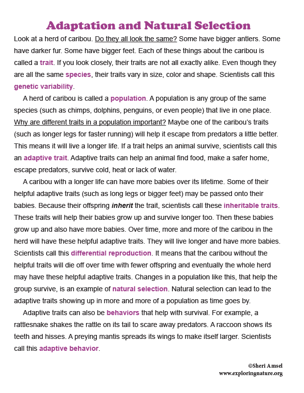 Adaptation and Natural Selection: Read and React