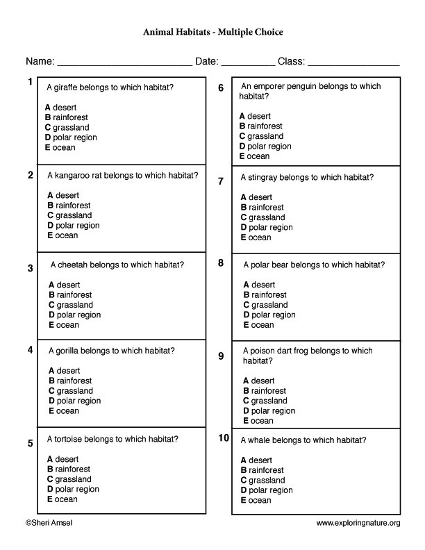 Animal Habitats - Multiple Choice Test
