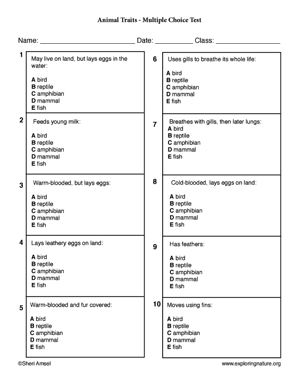 Multiple Choice Printable Trivia Questions : Sample Quiz - World Tavern ...