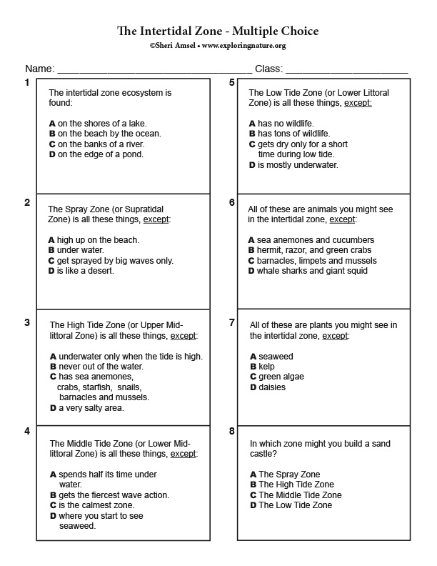 Intertidal Zone - Multiple Choice Quiz