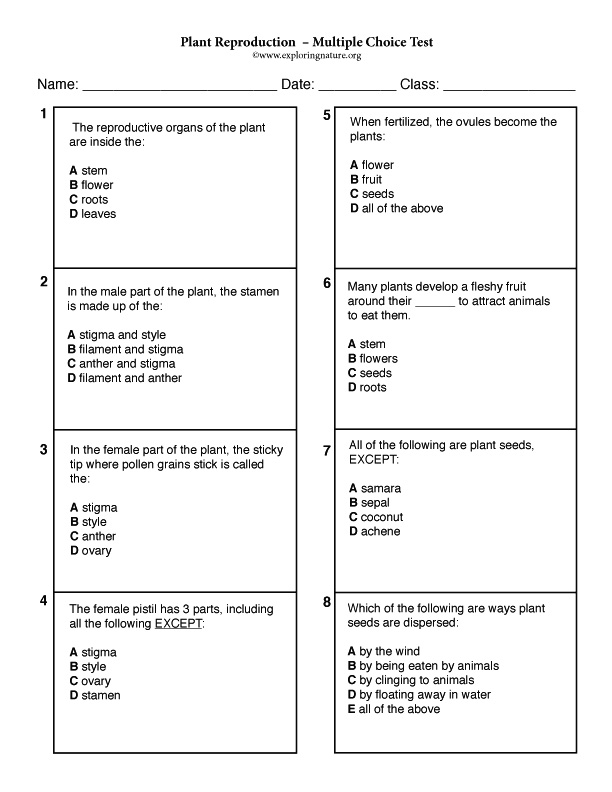 plant-reproduction-multiple-choice-test