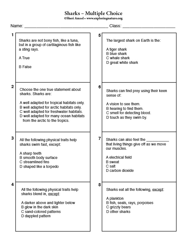 Sharks - Multiple Choice Quiz