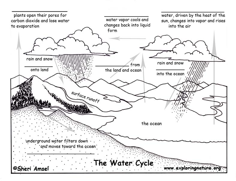 Water Cycle - Fill in the Blank Quiz
