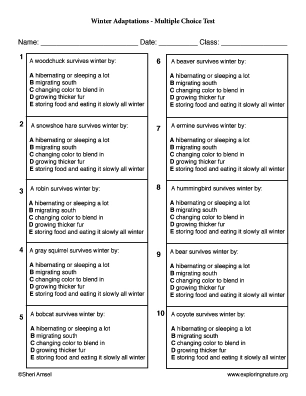Winter Adaptations - Multiple Choice Test
