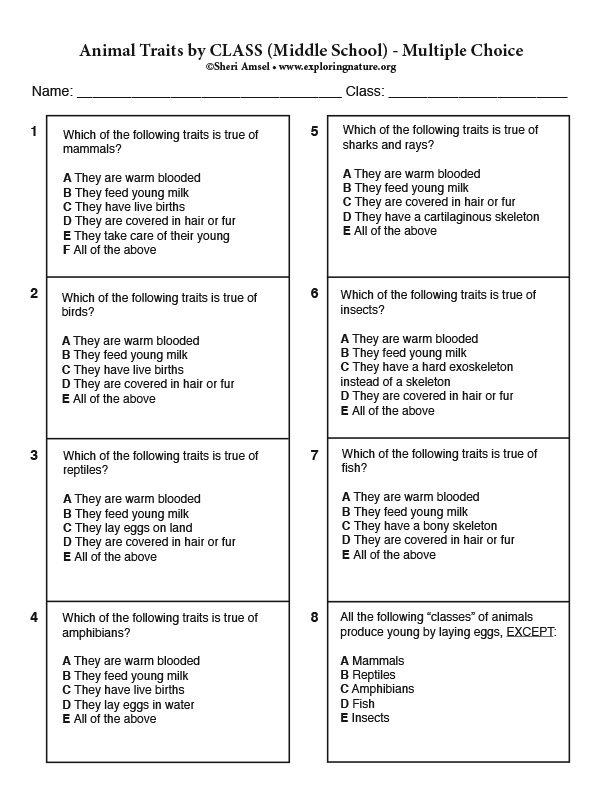 Animal Traits by CLASS (Middle School) - Multiple Choice Animal Traits by CLASS (Middle School) - Multiple Choice