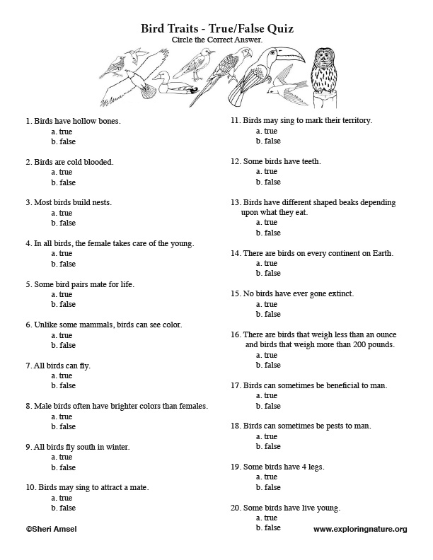 Bird Personality Test Printable Bird Personality Test Printable