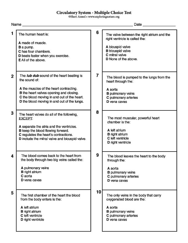 Circulatory System Multiple Choice