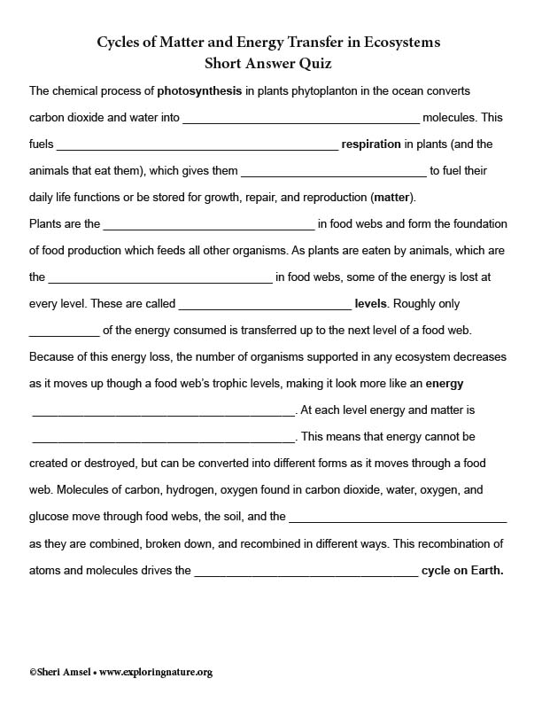 Cycles of Matter and Energy Transfer in Ecosystems Short Answer Quiz