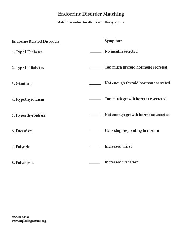 Endocrine Disorders - Matching