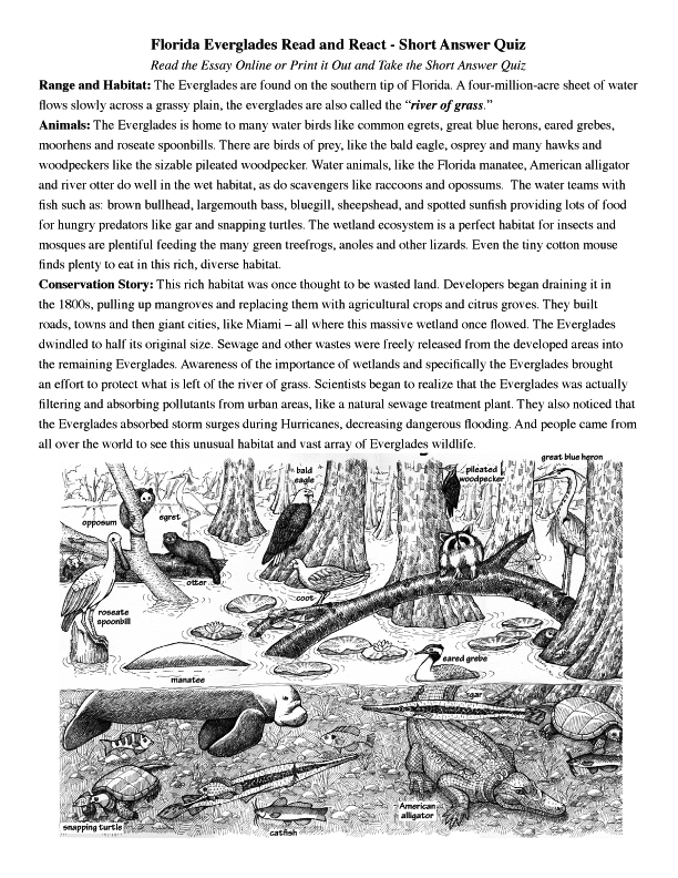 Everglades Reading page