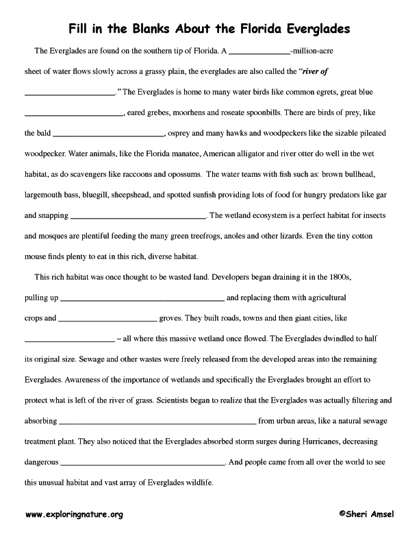 Everglades Short answer quiz page
