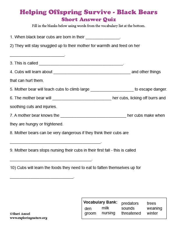 Helping Offspring Survive - Black Bears - Short Answer Quiz