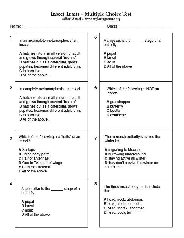 Insect traits – Multiple Choice Test