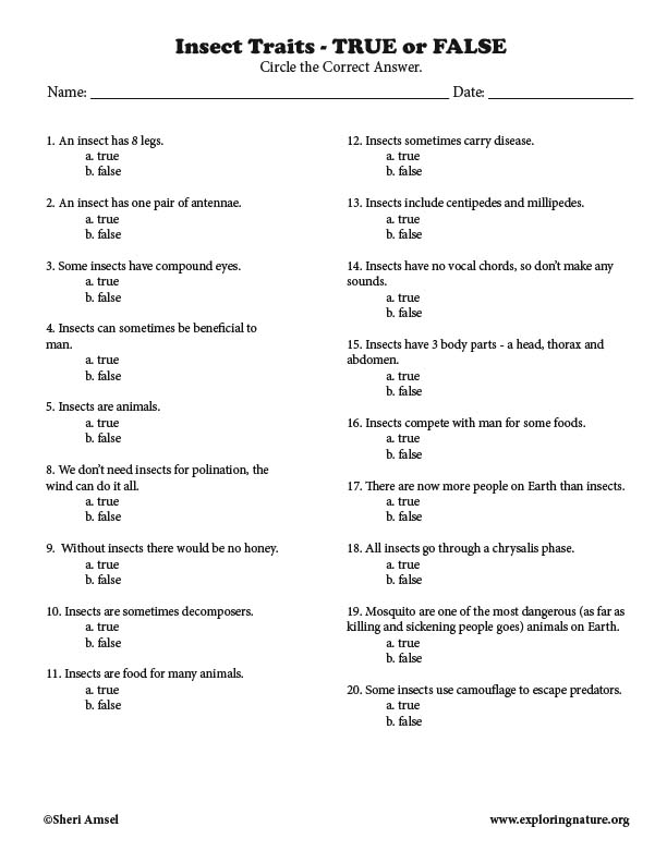 understanding true and false questions