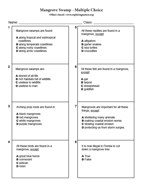 Mangrove multiple choice quiz