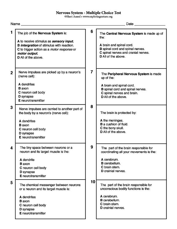 Nervous System - Multiple Choice