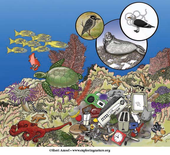 Ocean Ecology - Multiple Choice Quiz Ocean Ecology - Multiple Choice Quiz