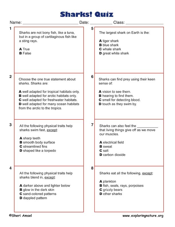 Sharks - Multiple Choice Quiz