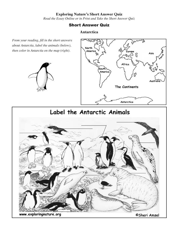 Antarctica Read And React antarctica-read-and-react