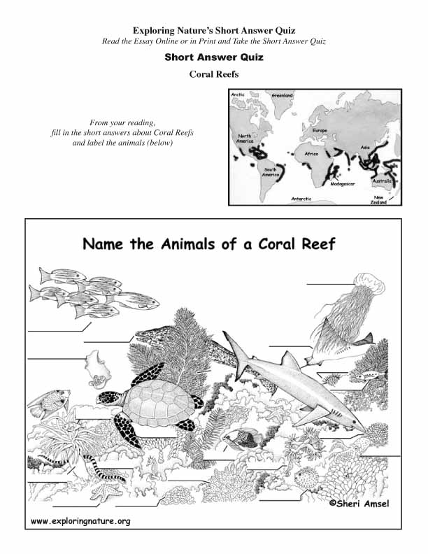 Coral Reefs - Read and React (Short Answer)