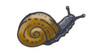 Snail (Giant Land)