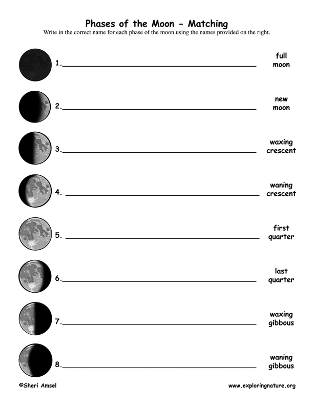 Phases of the Moon Explained