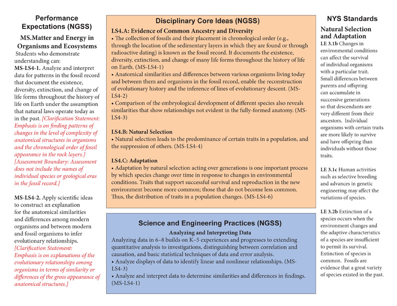 similarities and differences between the trait Retracted: similarities and differences between the impact of traits and expectancies: what matters is whether the target stimulus is ambiguous or mixed. similarities and differences between the trait Retracted: similarities and differences between the impact of traits and expectancies: what matters is whether the target stimulus is ambiguous or mixed.