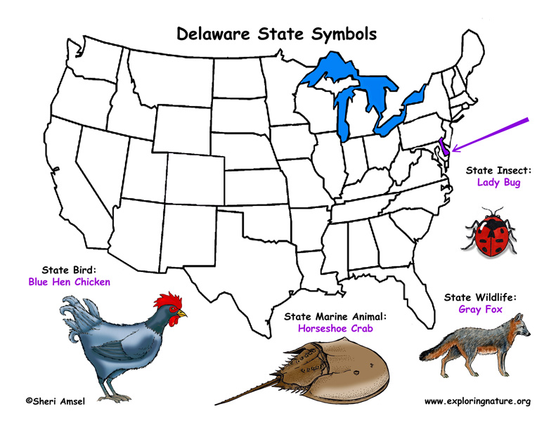 State symbols. De state