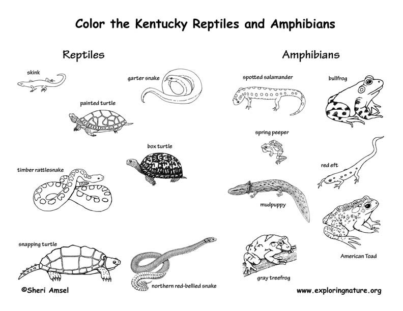Kentucky