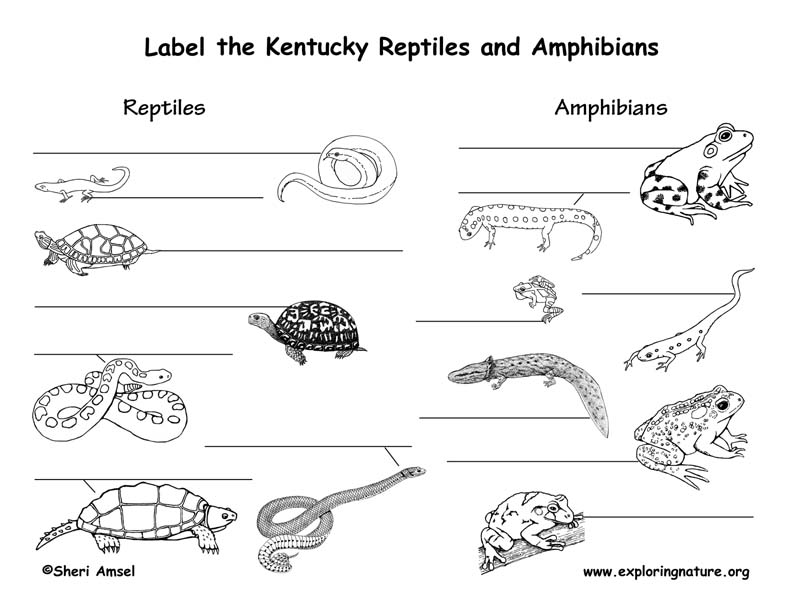 Kentucky