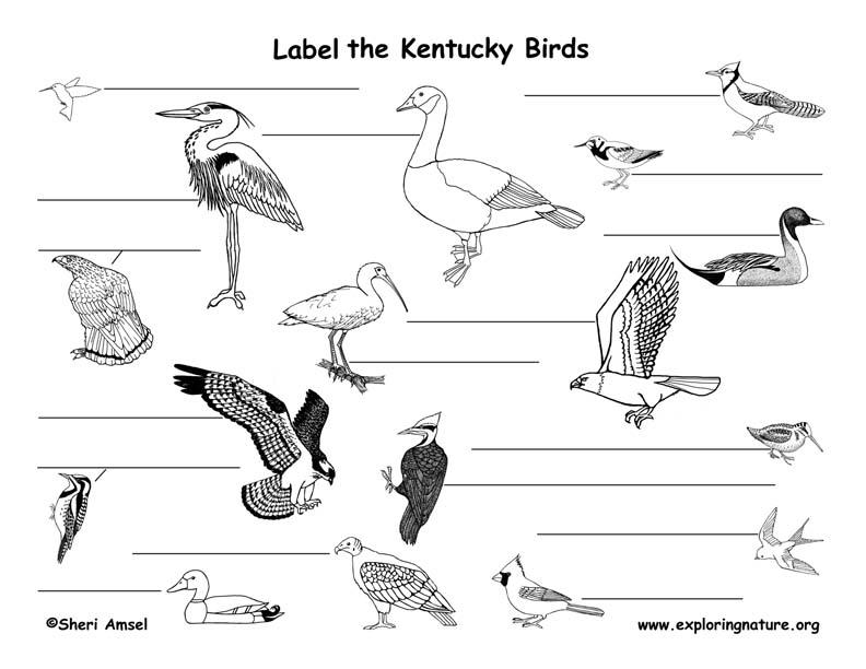 Kentucky