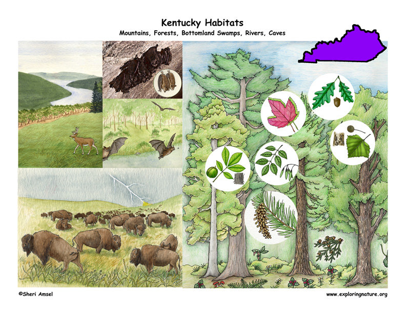 Kentucky