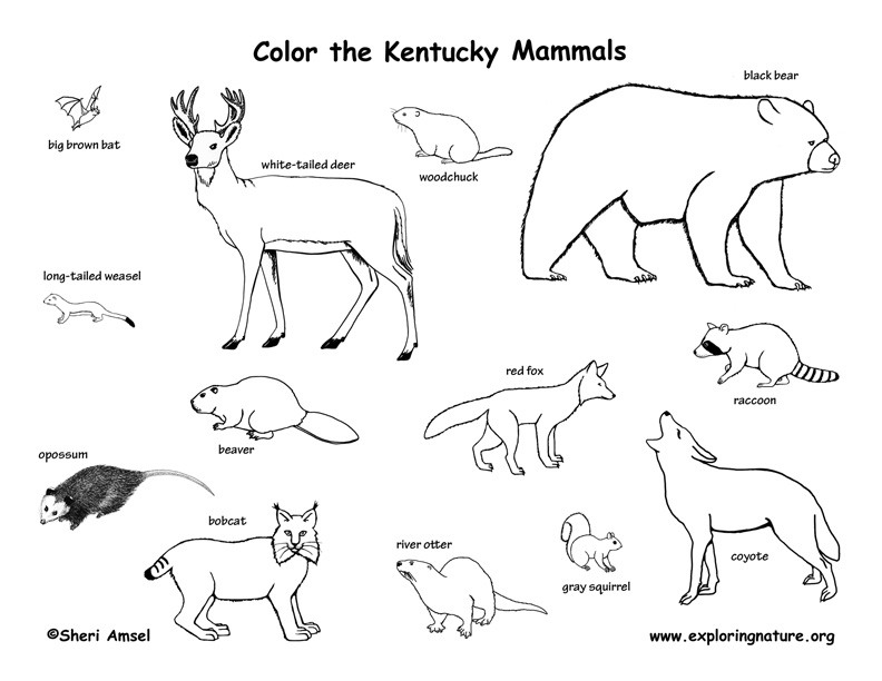 Kentucky