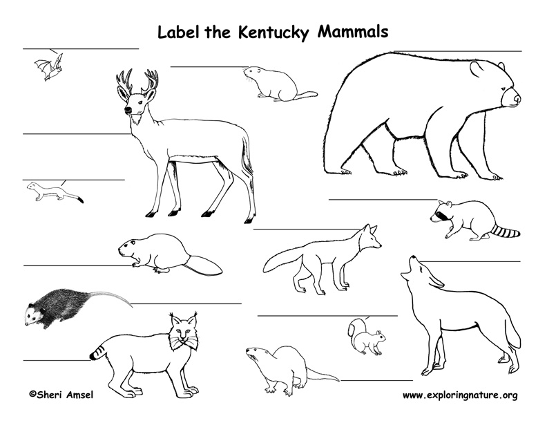Kentucky