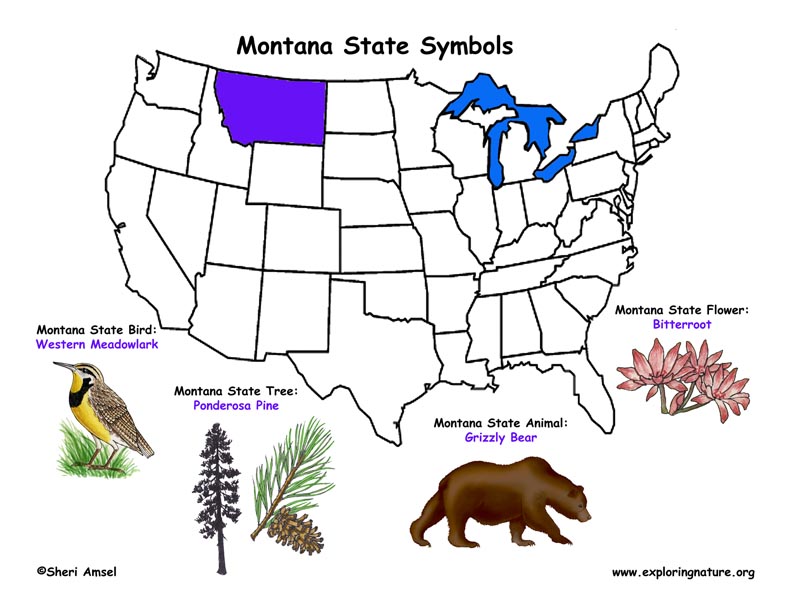 Montana Habitats, Mammals, Birds, Amphibians, Reptiles