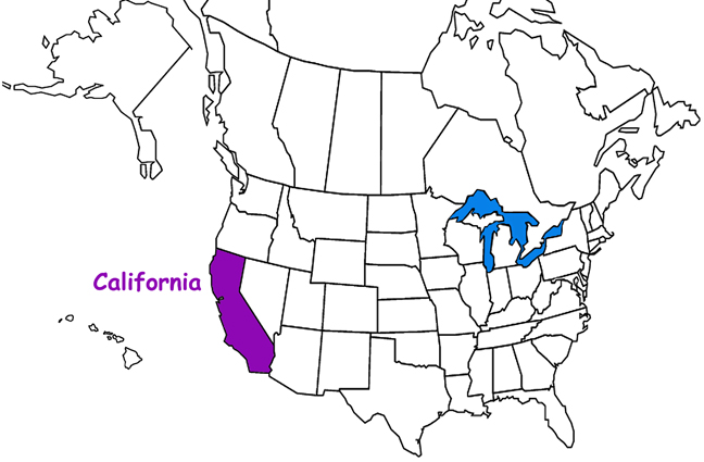 California